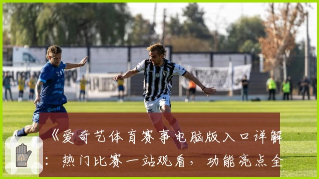 《爱奇艺体育赛事电脑版入口详解：热门比赛一站观看，功能亮点全解析》